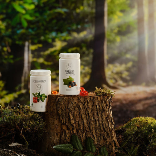 Fatty acids: essential building blocks for skin, mucous membranes and well-being