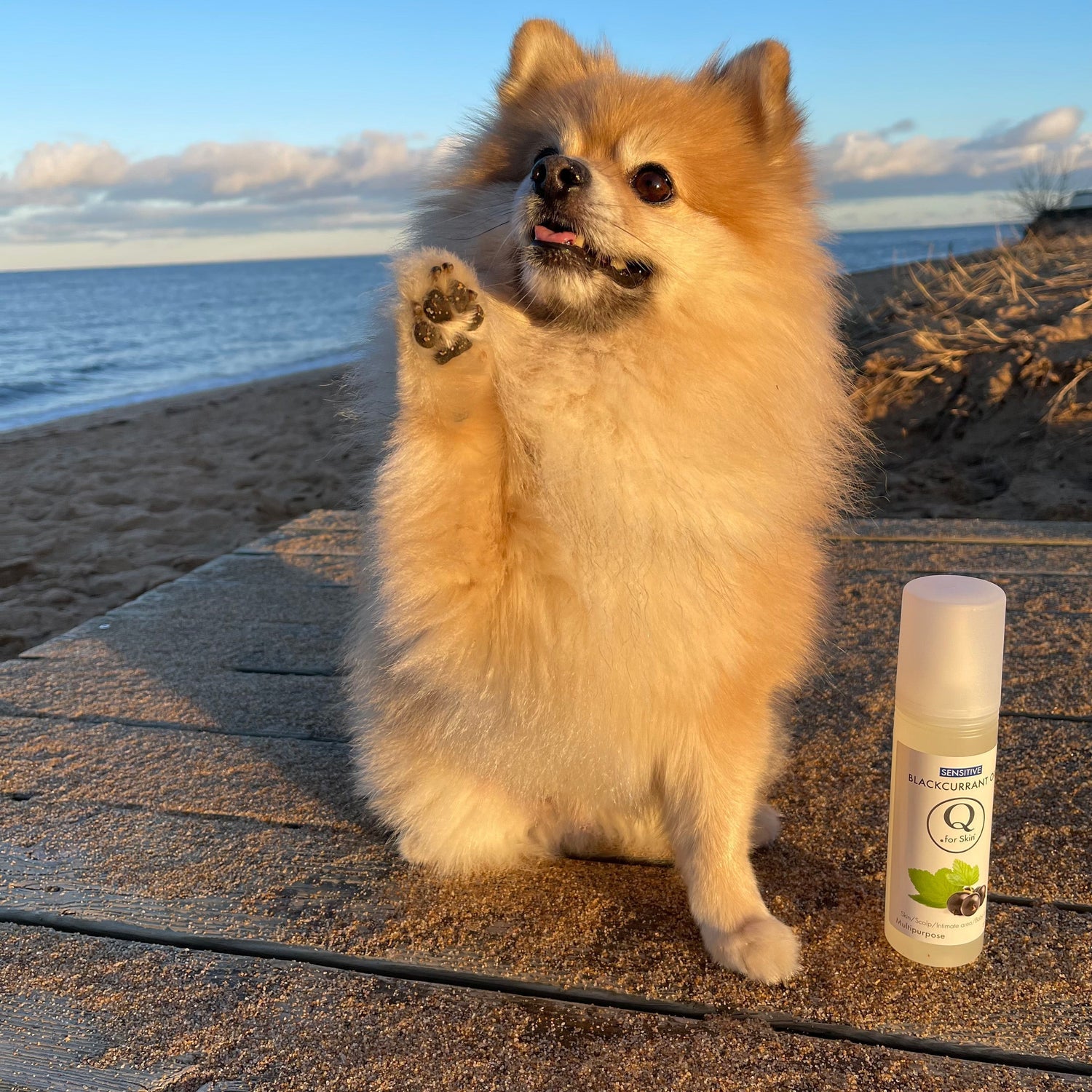 Q for Skin - även för våra bästa vänner