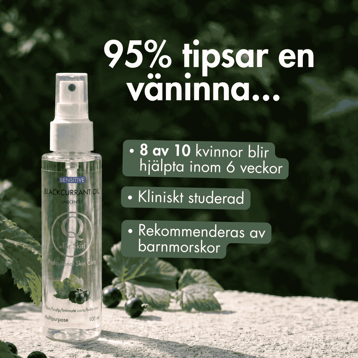 Blackcurrant Oil 100ml