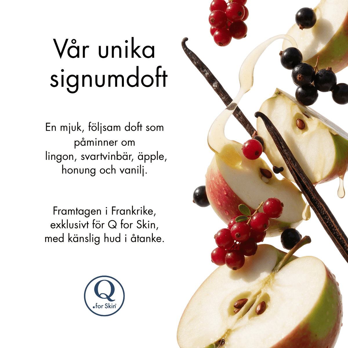 Lingonberry Hi-tech Serum in Cream